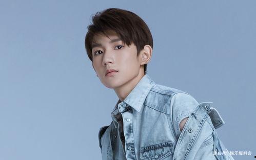 爆料网红追王源的视频,揭秘明星与粉丝的神秘互动 第2张 爆料网红追王源的视频,揭秘明星与粉丝的神秘互动 第2张